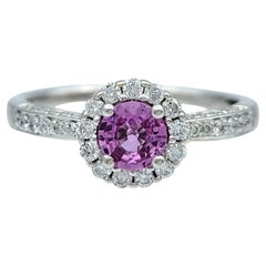 Halo-Ring mit rundem Pink Saphir und Pavé-Diamant aus 14 Karat Weißgold