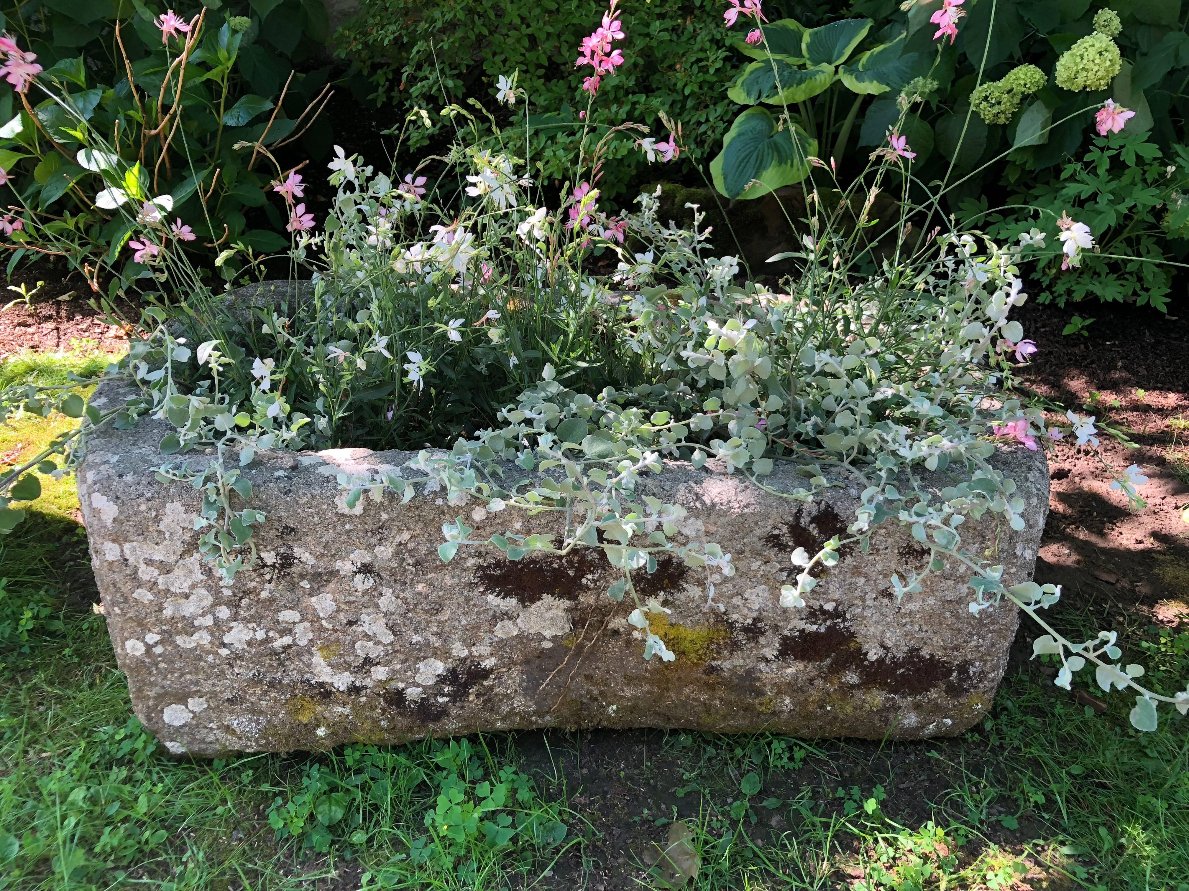 Round-Edged 18th Century Hand-Carved Cornish Granite Trough 4