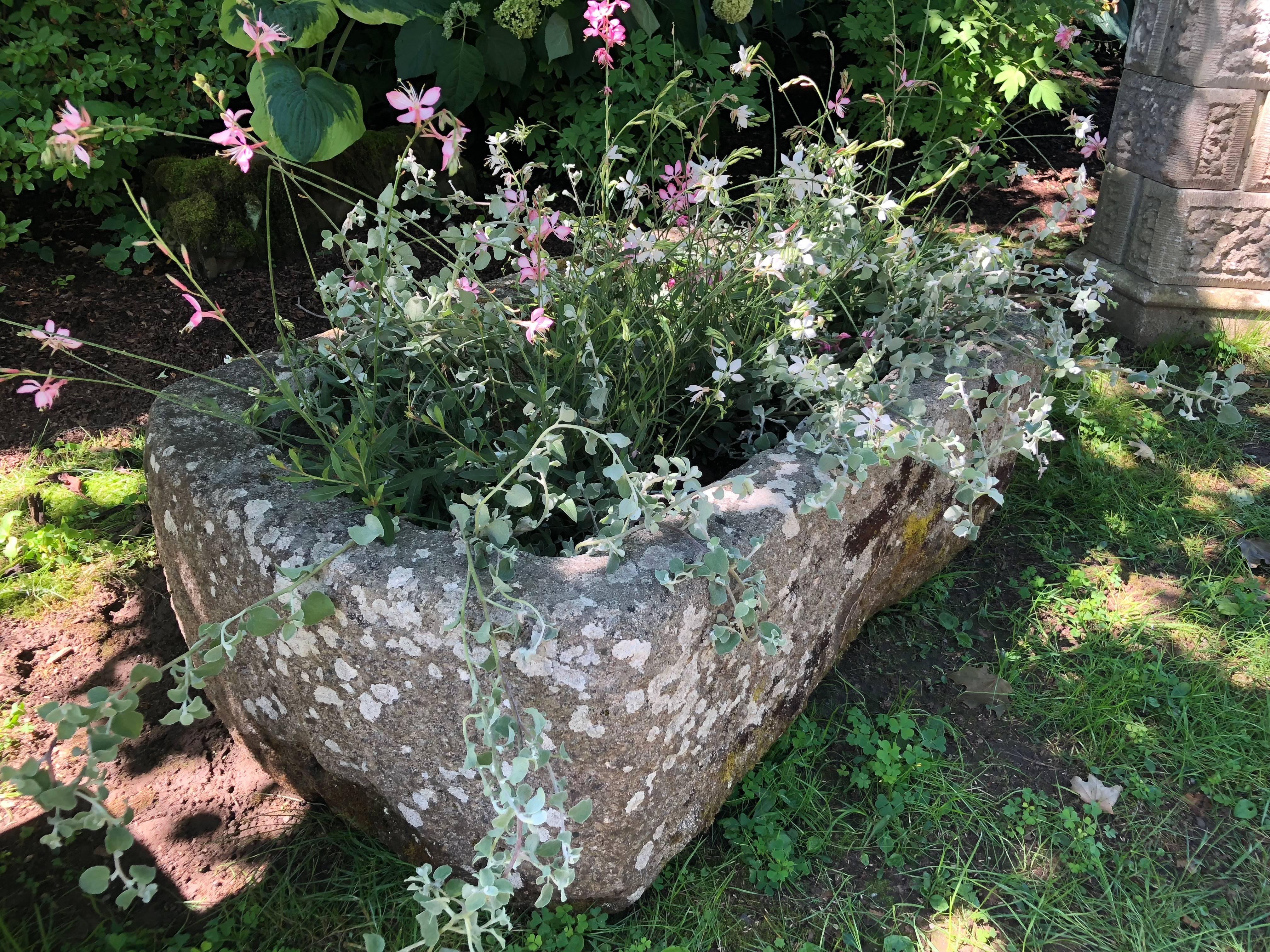 Round-Edged 18th Century Hand-Carved Cornish Granite Trough 5