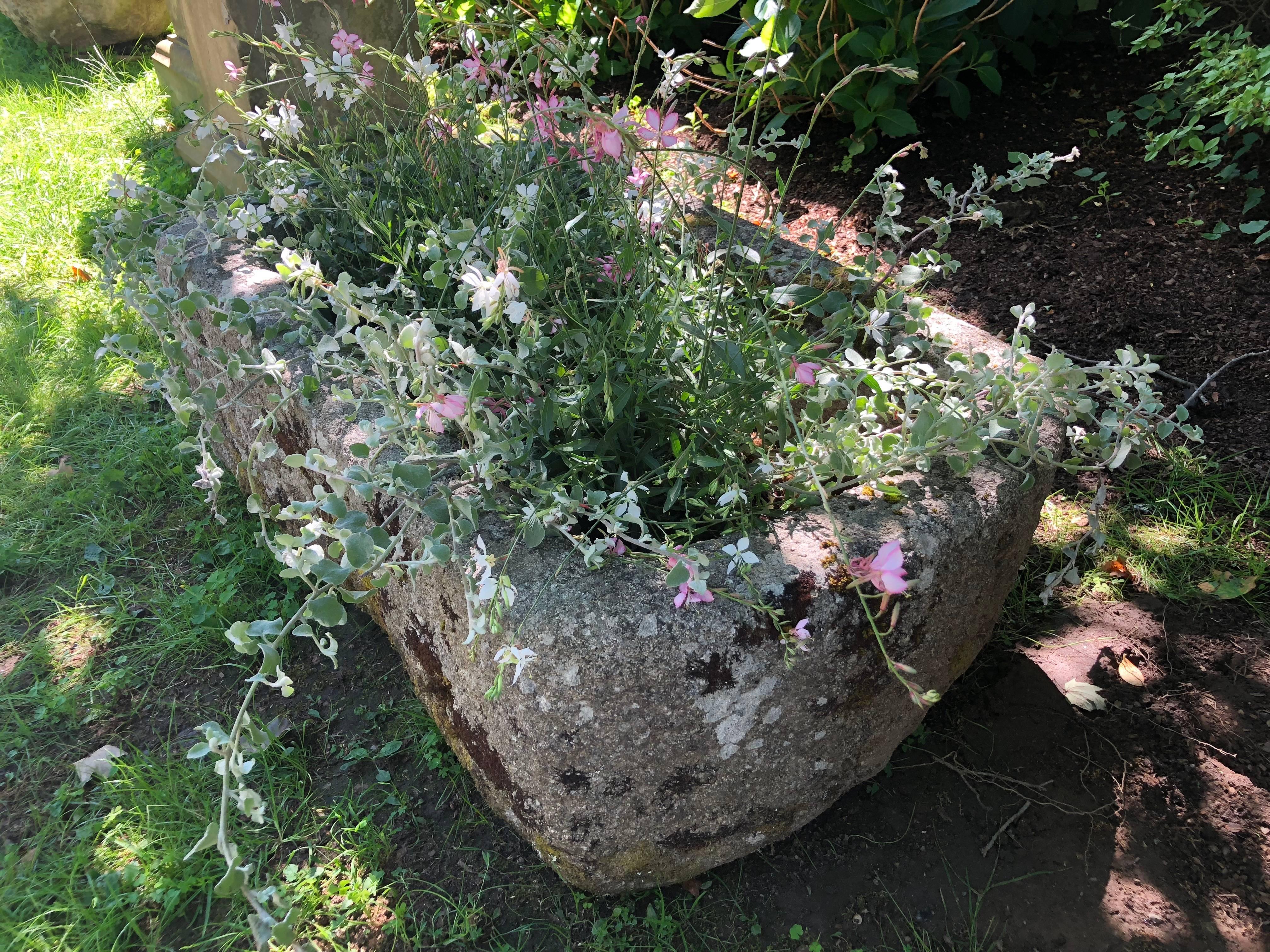 Round-Edged 18th Century Hand-Carved Cornish Granite Trough 6