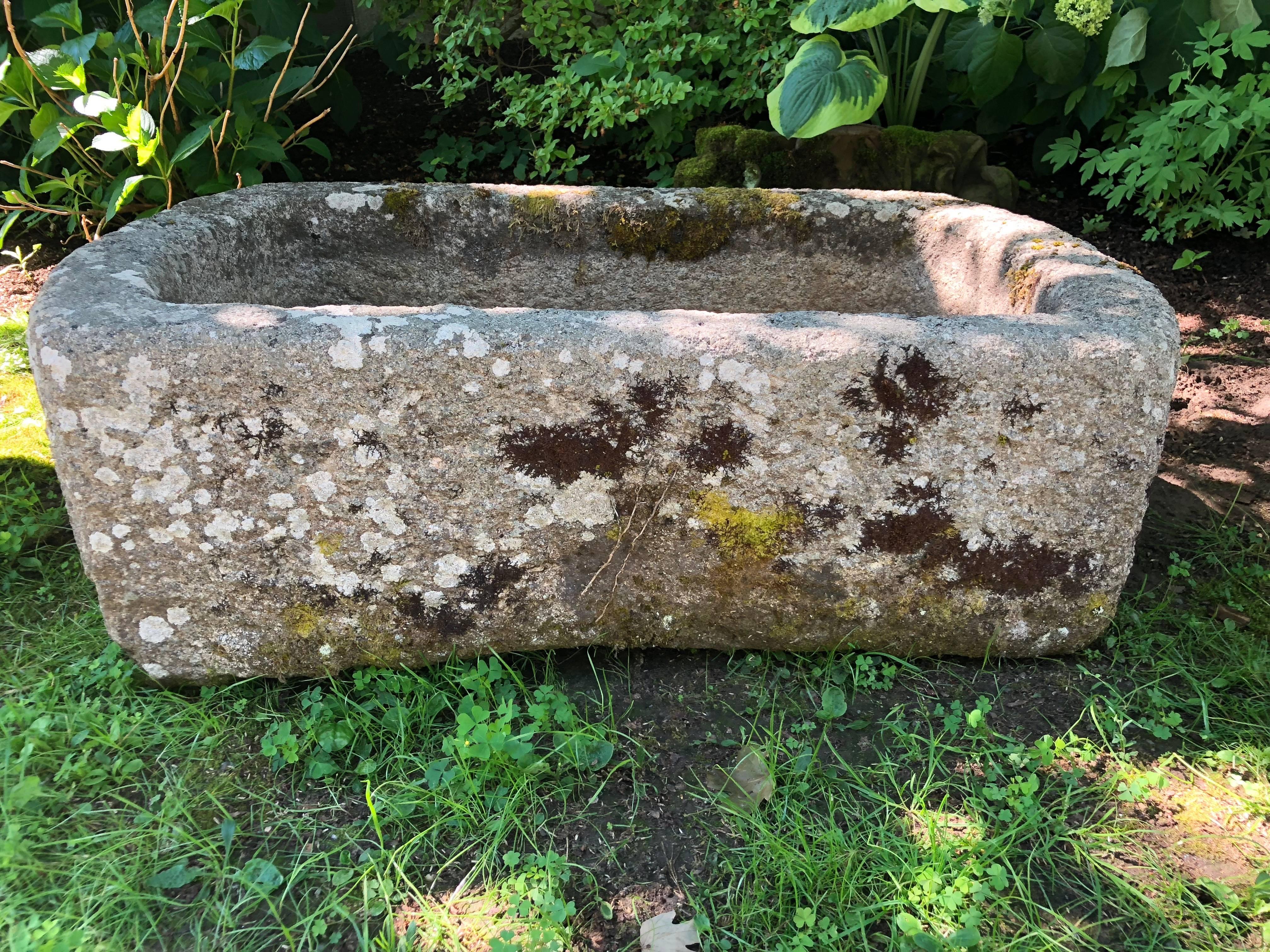We so love granite from Cornwall and we were lucky enough to score two gorgeous troughs on our last buying trip. This one is the smaller of the two and featured a rectangular shape with beautifully-rounded corners and a heavily weathered surface