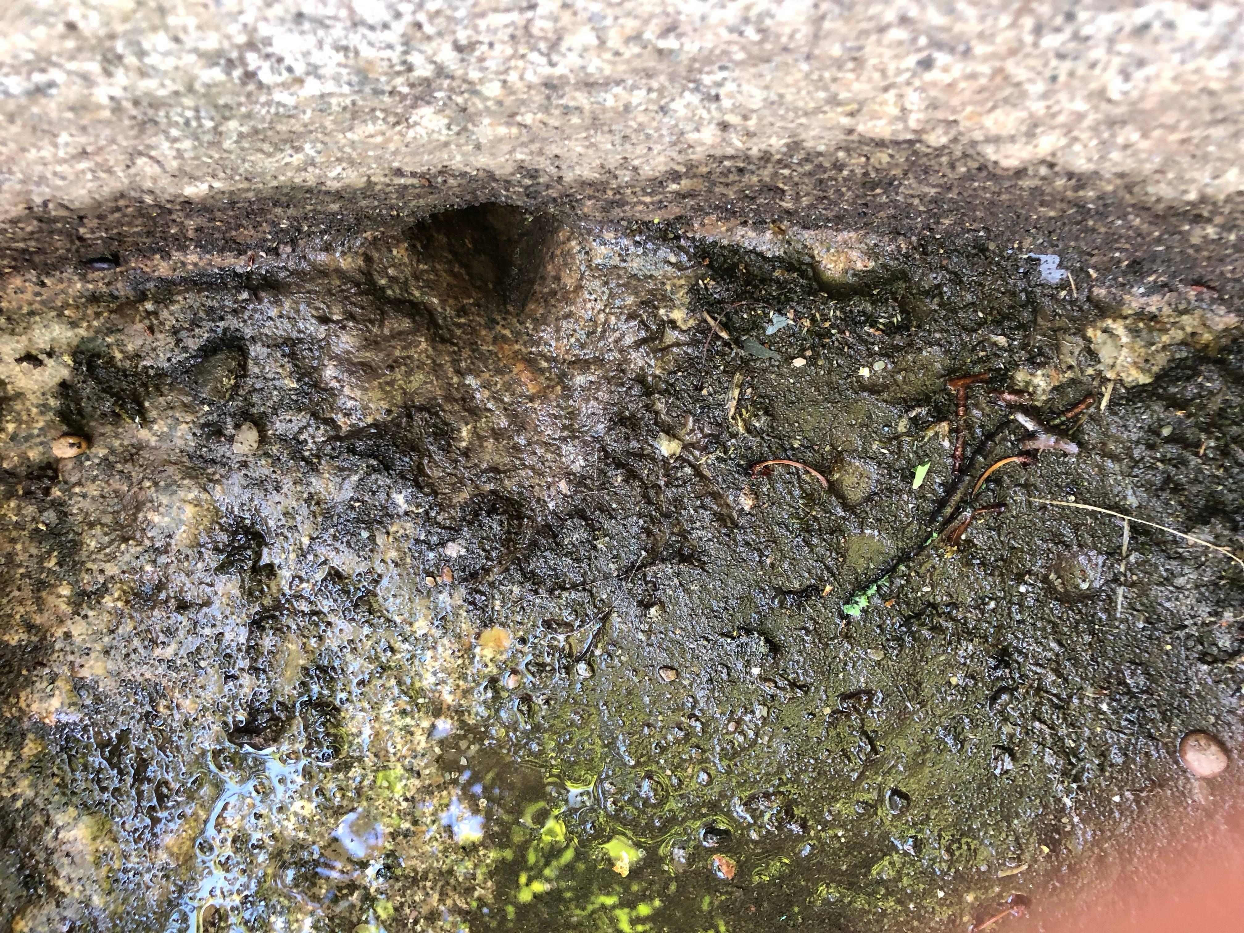 Rustic Round-Edged 18th Century Hand-Carved Cornish Granite Trough