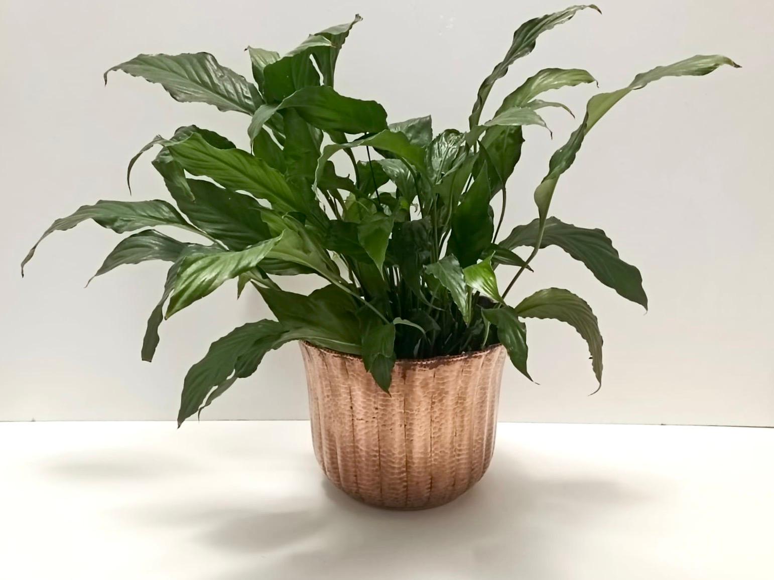 Hergestellt in Italien, 1950er Jahre.
Dieser elegante Übertopf, der auch als Tafelaufsatz oder Vase verwendet werden kann, besteht aus geprägtem Kupfer und ist im Stil von Egidio Casagrande gestaltet. 
Es könnte leichte Gebrauchsspuren aufweisen, da