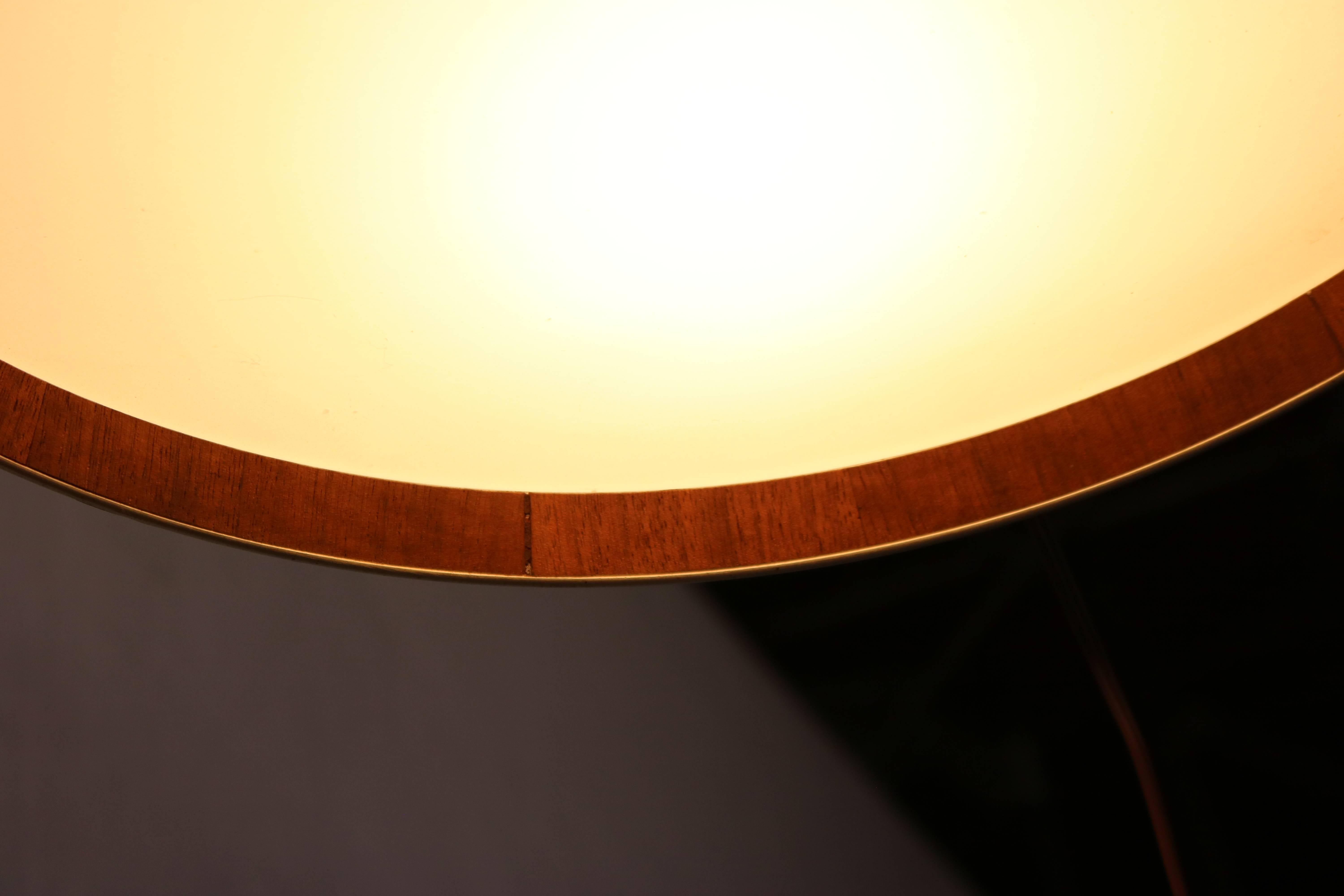 frosted glass light diffuser