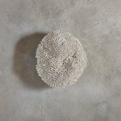 Forme ronde d'Erin Vincent, 2024