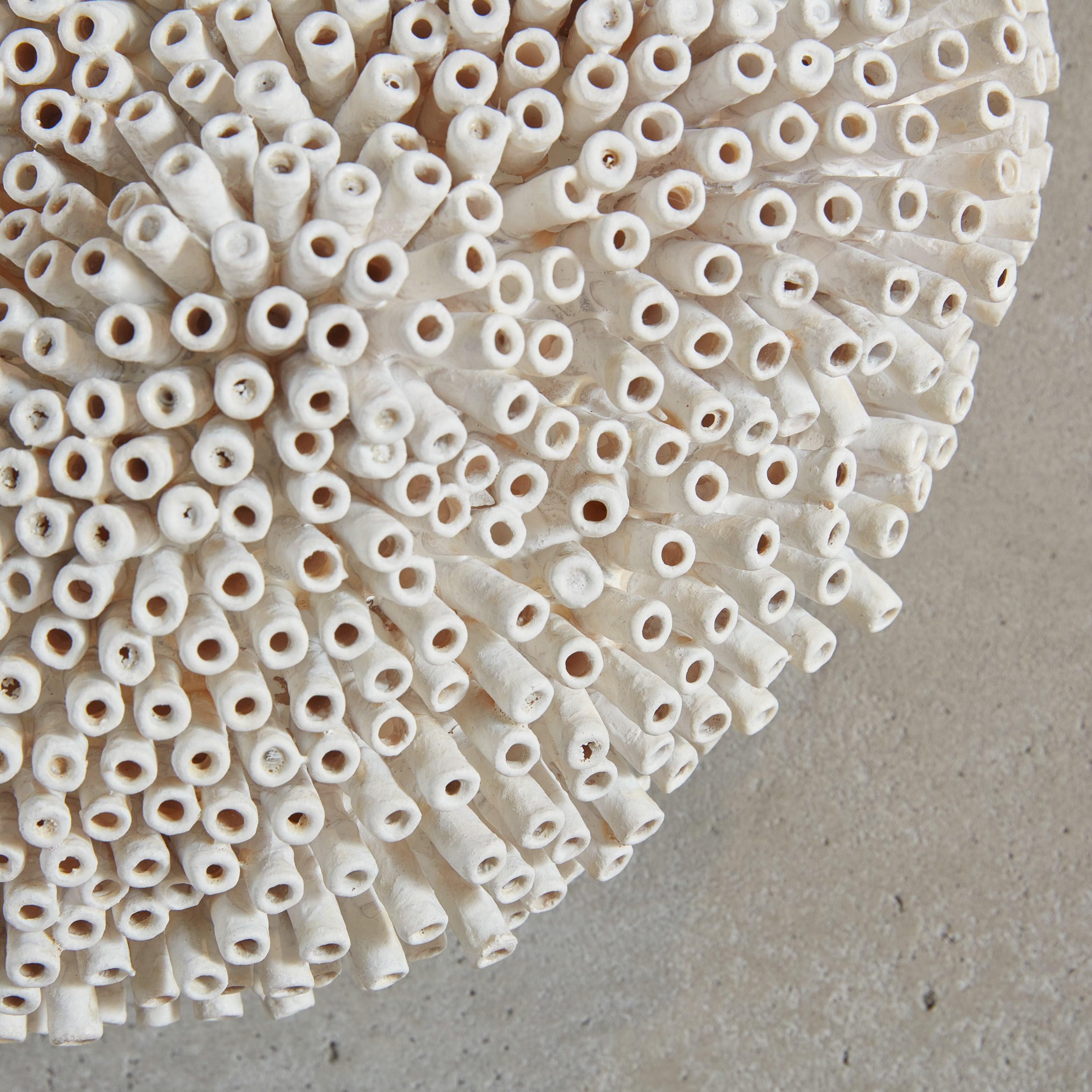 Round Form di Erin Vincent, 2024 In condizioni ottime in vendita a Chicago, IL
