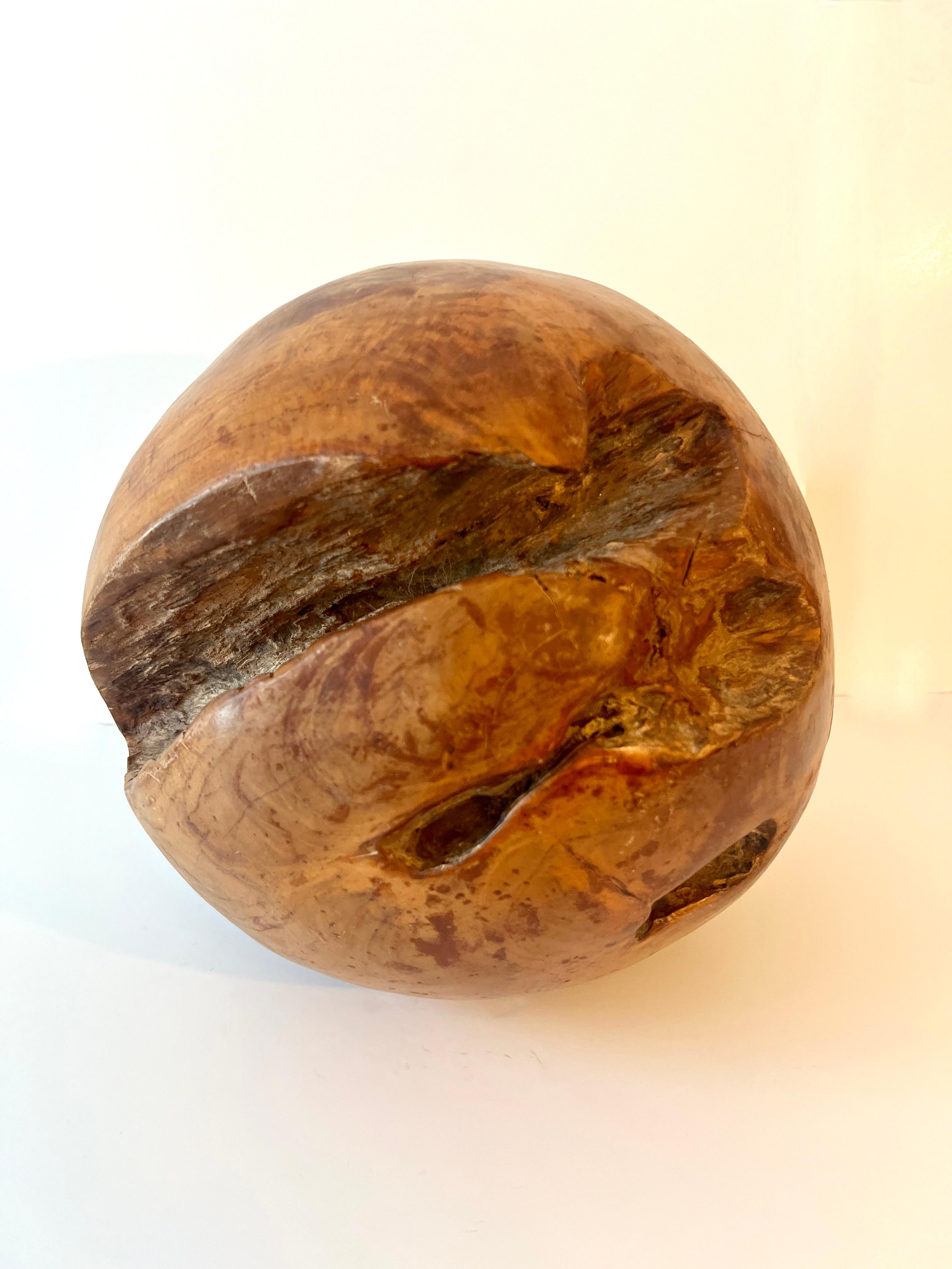 Round Hand Carved Wooden Organic Sculpture For Sale 4