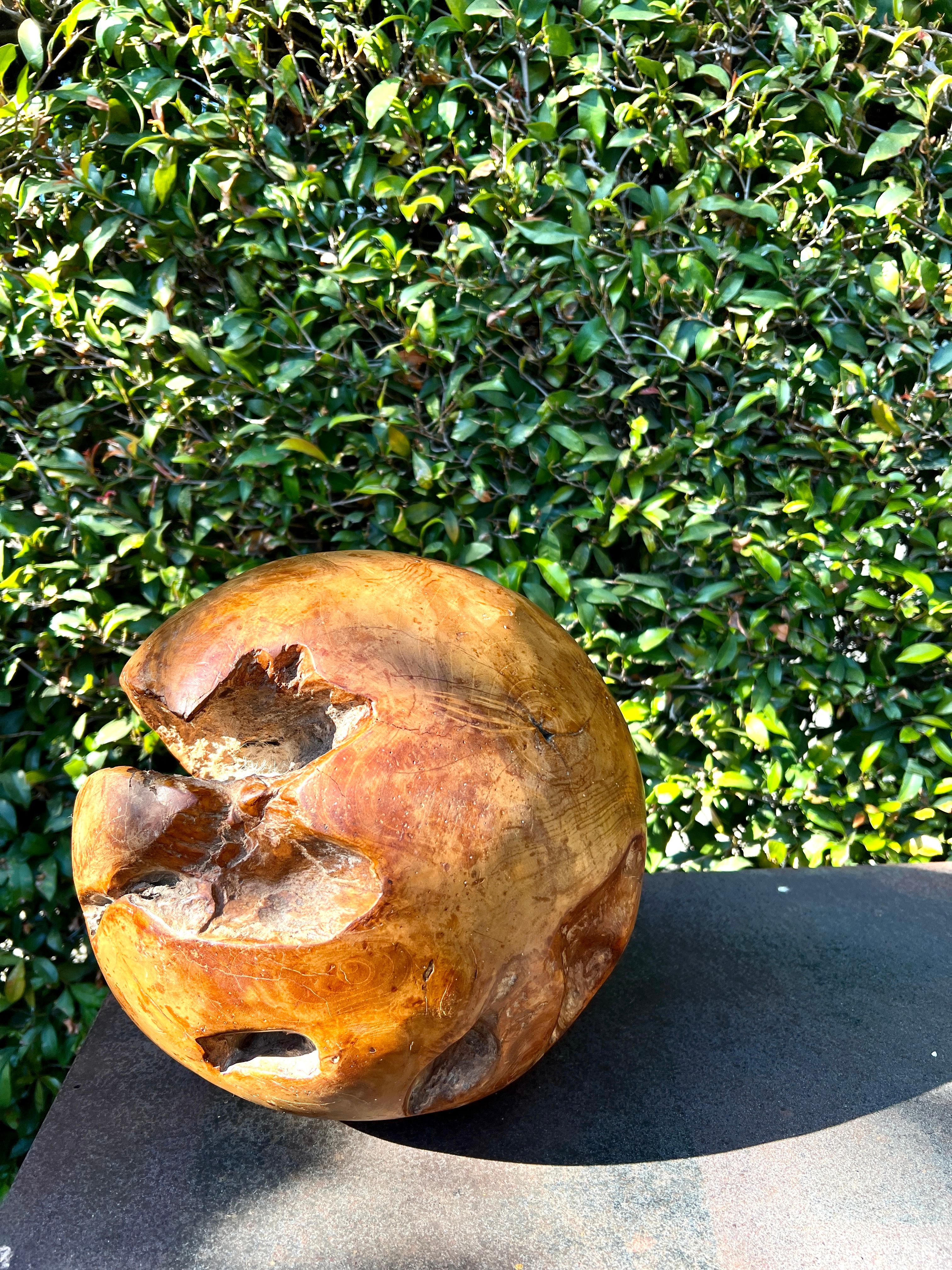 Organic Modern Round Hand Carved Wooden Organic Sculpture For Sale
