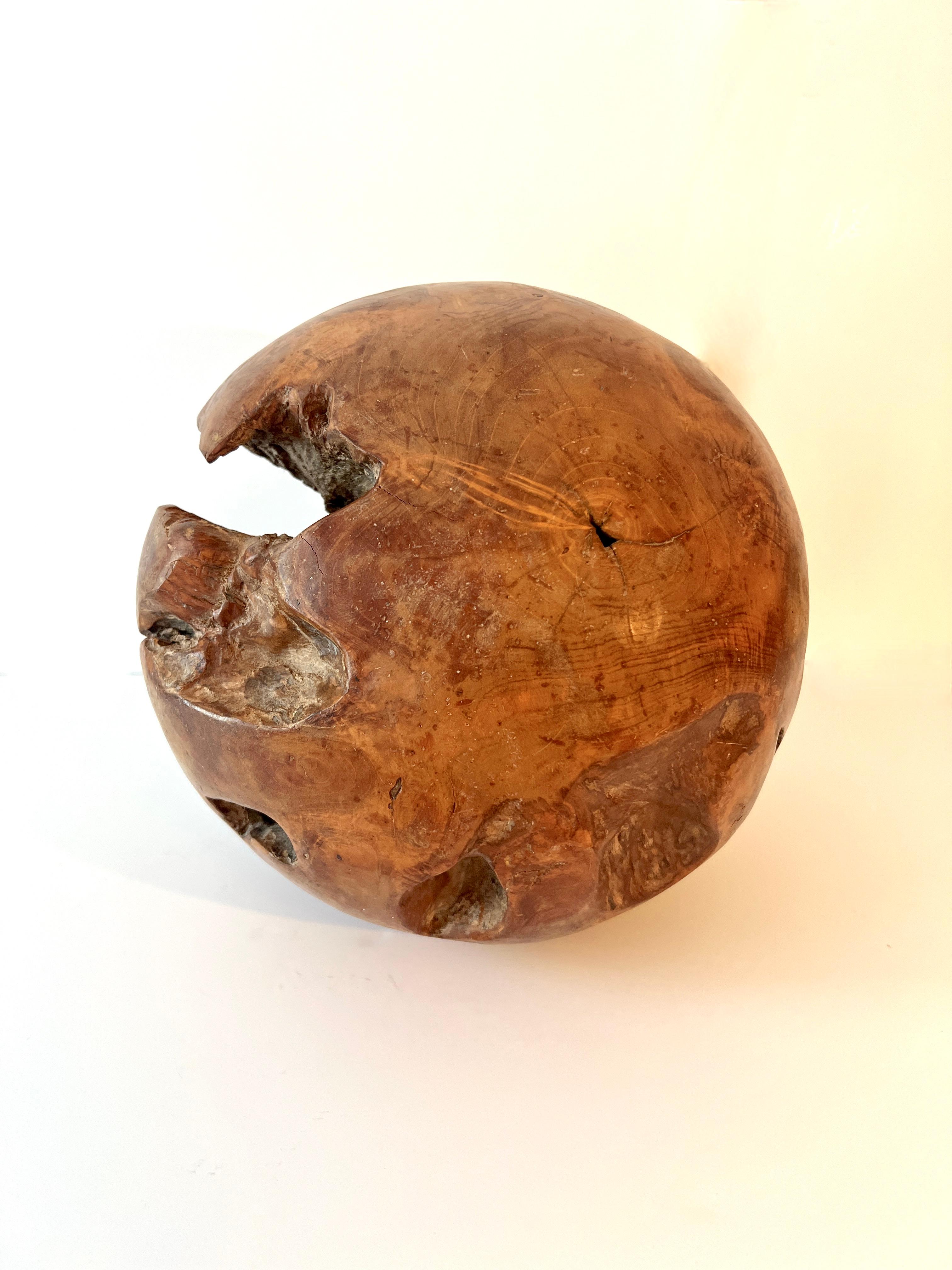 Hand-Carved Round Hand Carved Wooden Organic Sculpture For Sale