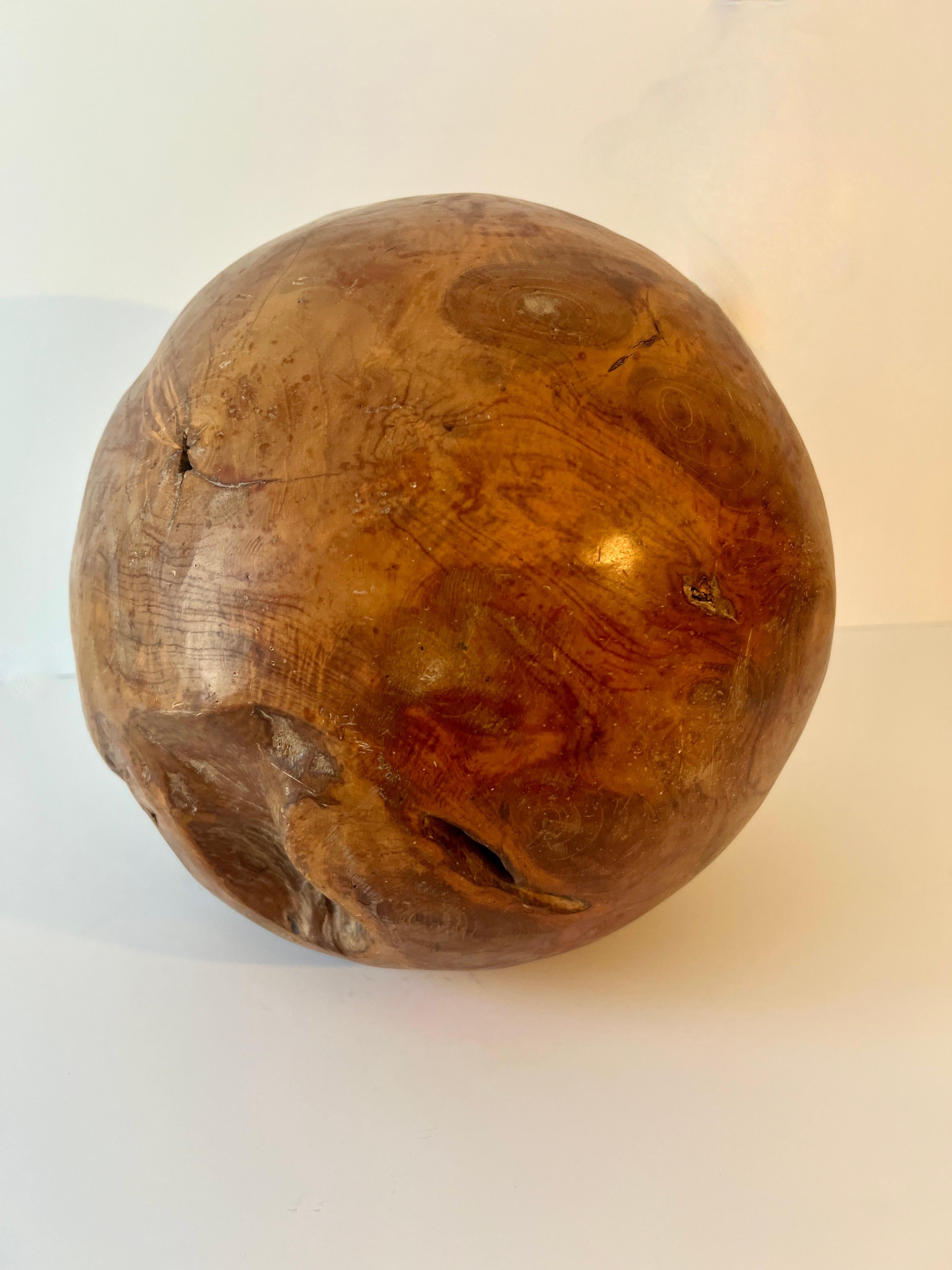 Round Hand Carved Wooden Organic Sculpture For Sale 2