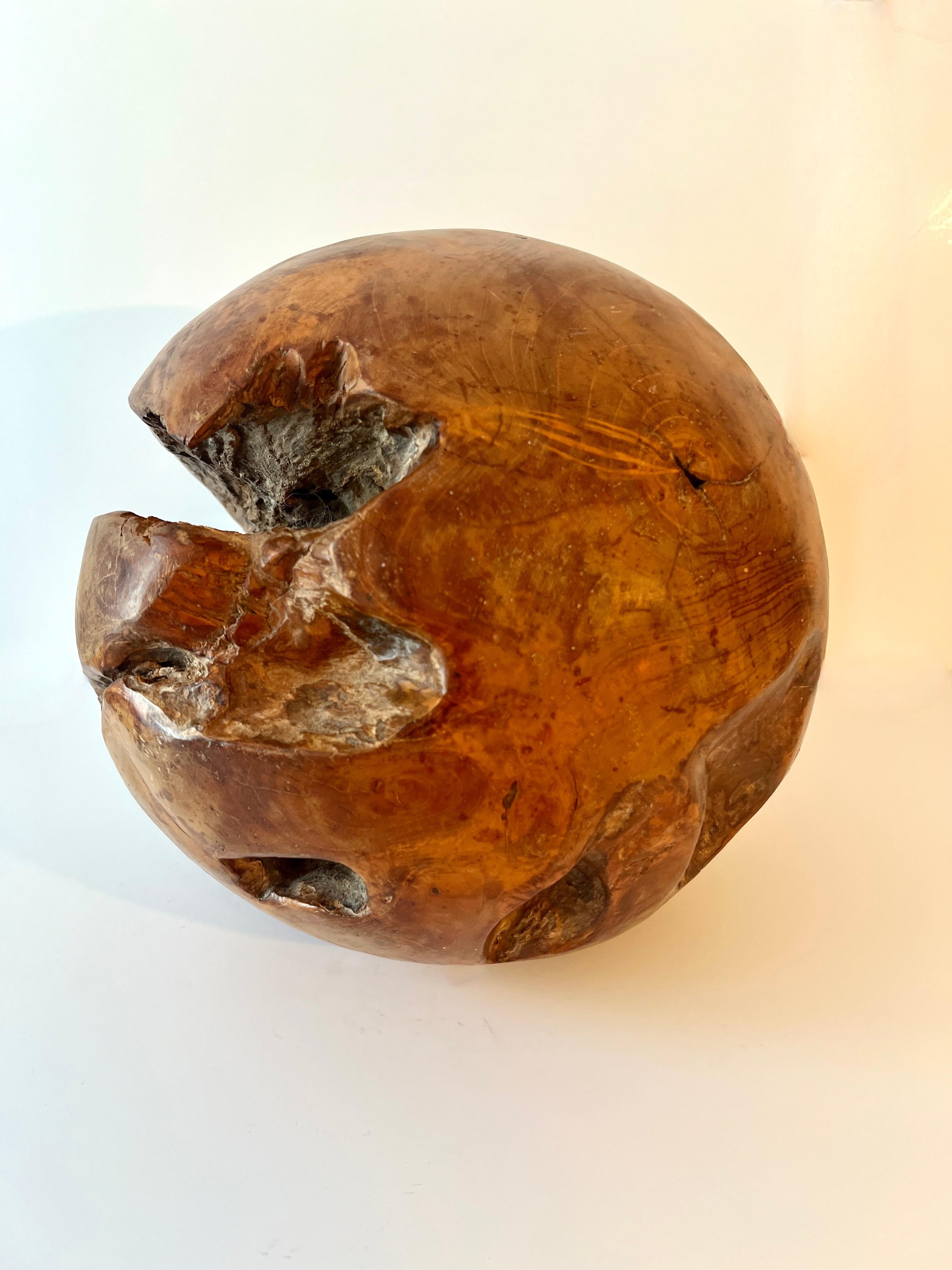 Round Hand Carved Wooden Organic Sculpture For Sale 3