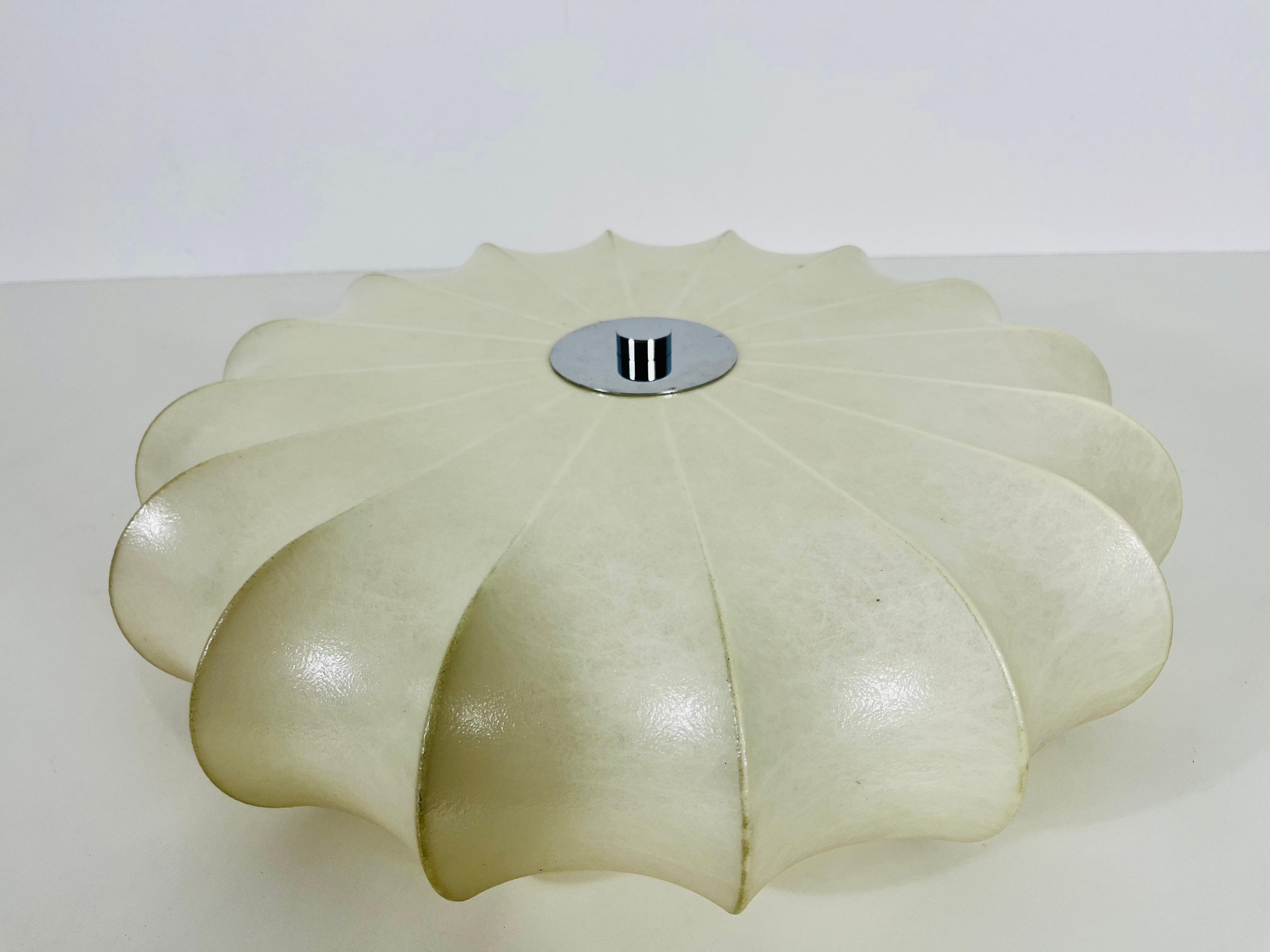round cocoon