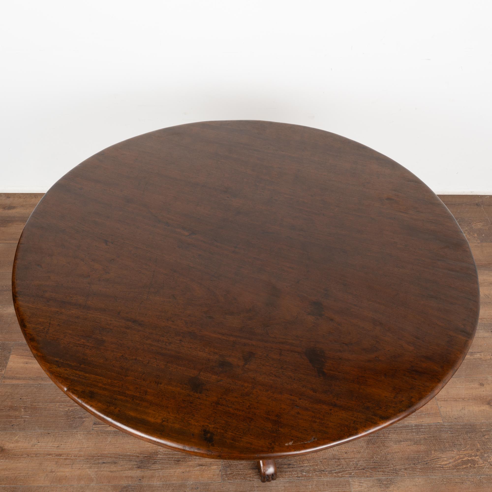 Round Narra Wood Pedestal Table, Philippines circa 1840-60 In Good Condition For Sale In Round Top, TX