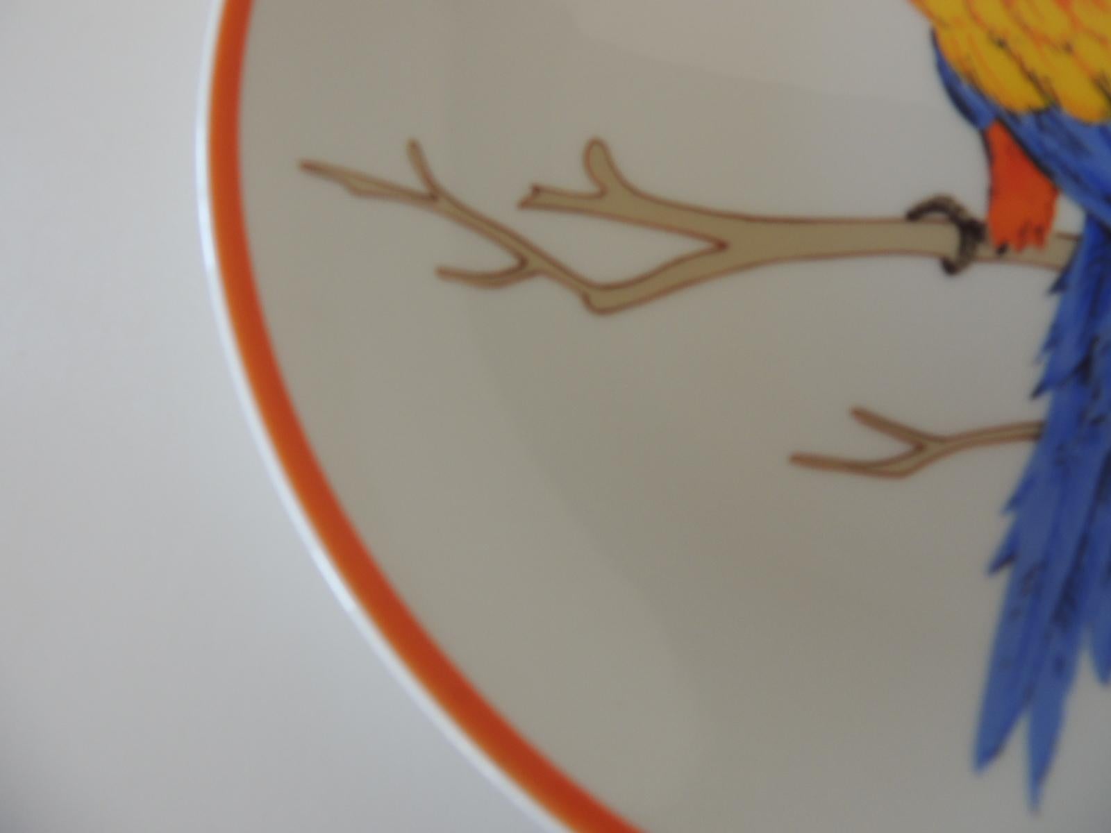 American Round Orange and Blue Macaw Parrot Decorative Plate