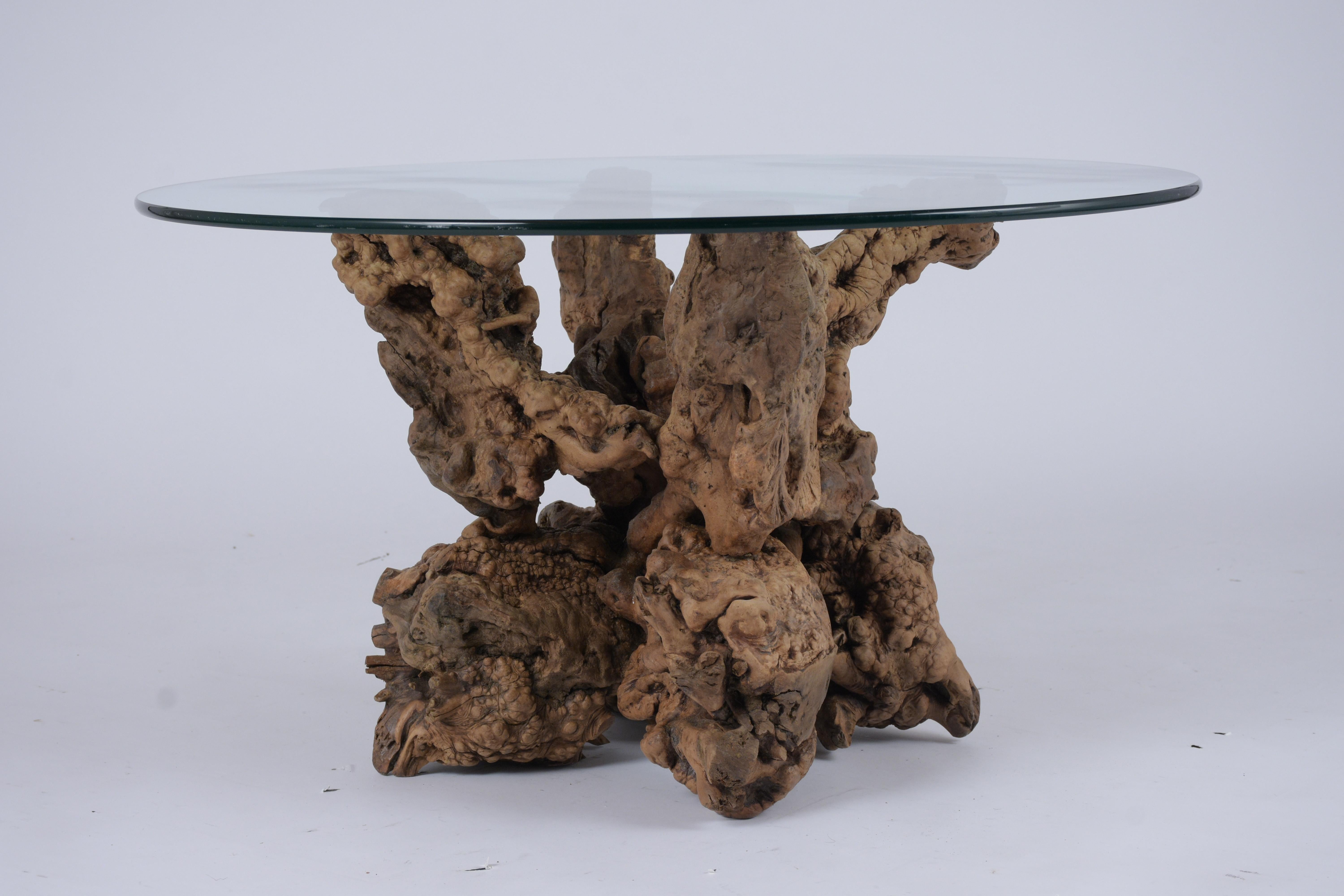 Walnut Root Side Table is in great condition, features a natural organic freeform base, and comes with its natural color finish. The table comes with a new round 3/8 inch thick clear glass top with a pencil polish finish detail. This 1930’s Mid