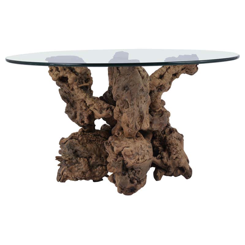 Organic Tree Root Coffee Table at 1stDibs