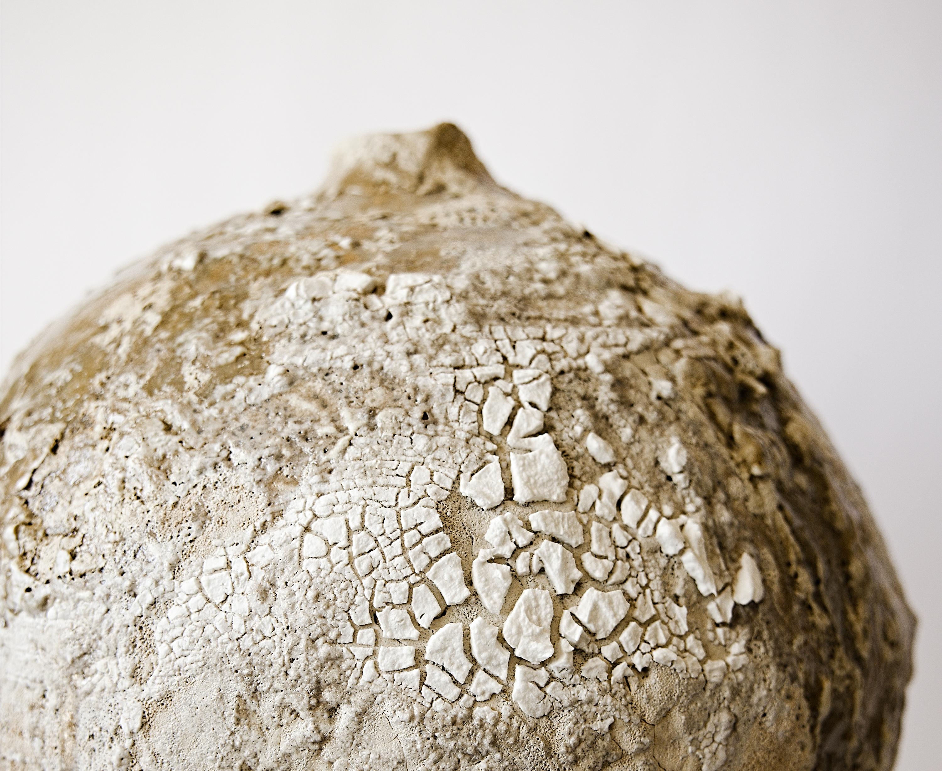 Vaso tondo organico Nature I In condizioni Nuovo in vendita a Van Nuys, CA