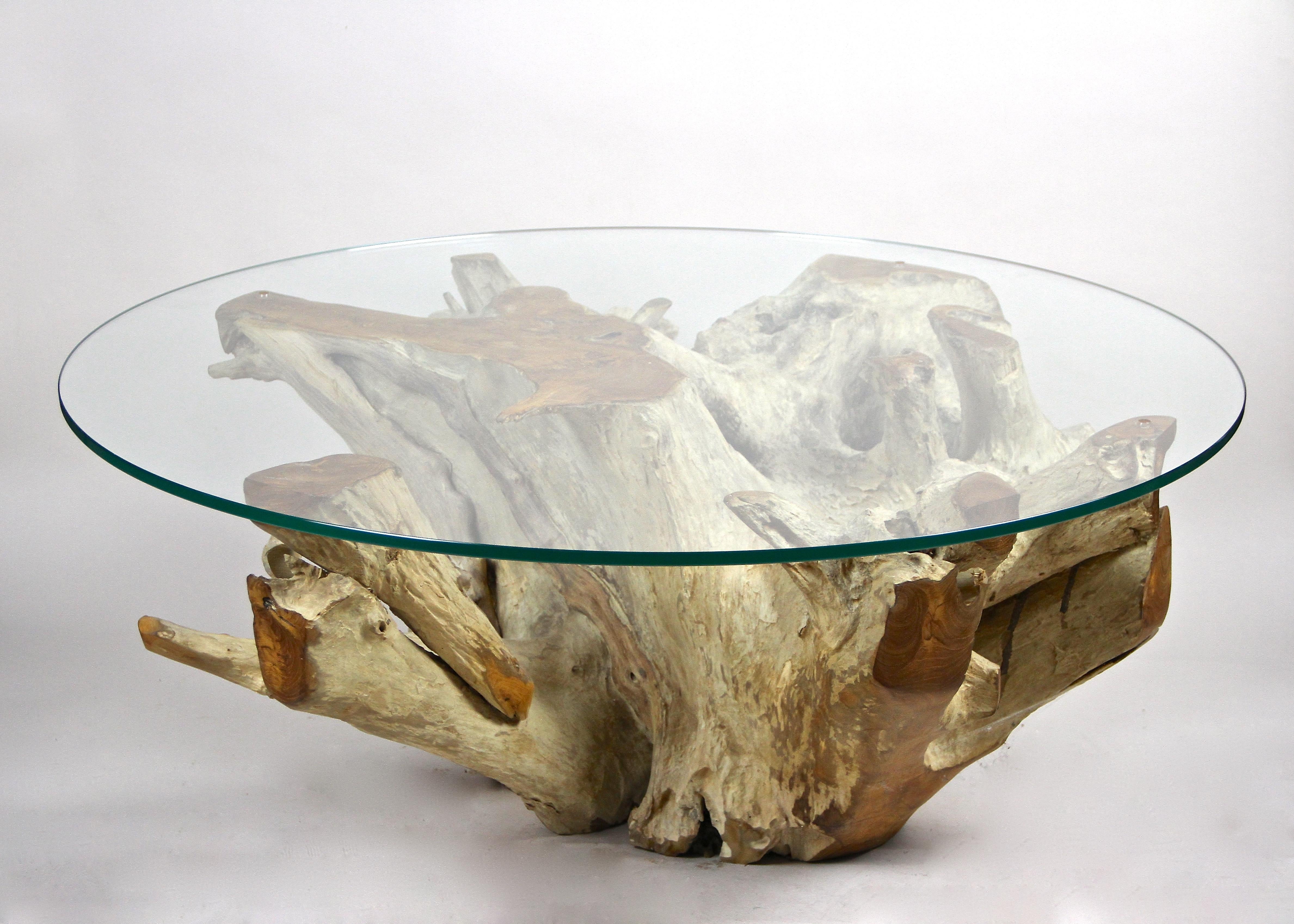 Einzigartiger runder Couchtisch aus organischem Teakholz mit Sicherheitsglasplatte. Dieser moderne, organische Tisch wurde kunstvoll aus einer einzigen massiven Teakholzwurzel gefertigt, die der Künstler kunstvoll zurechtgeschnitten hat, um diese