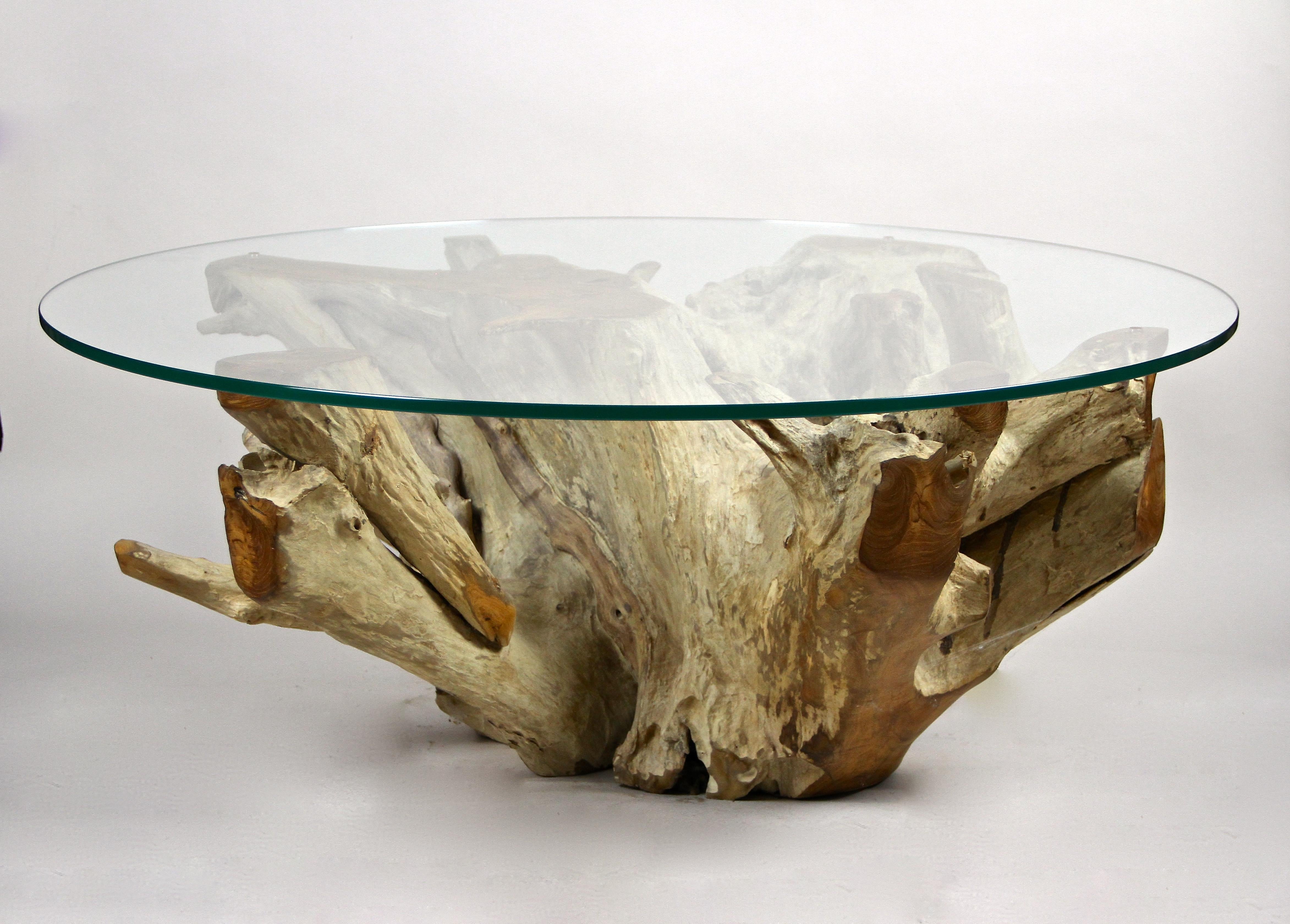 Bleached Round Organic Teak Root Coffee Table with Safety Glass Plate, 2021 For Sale