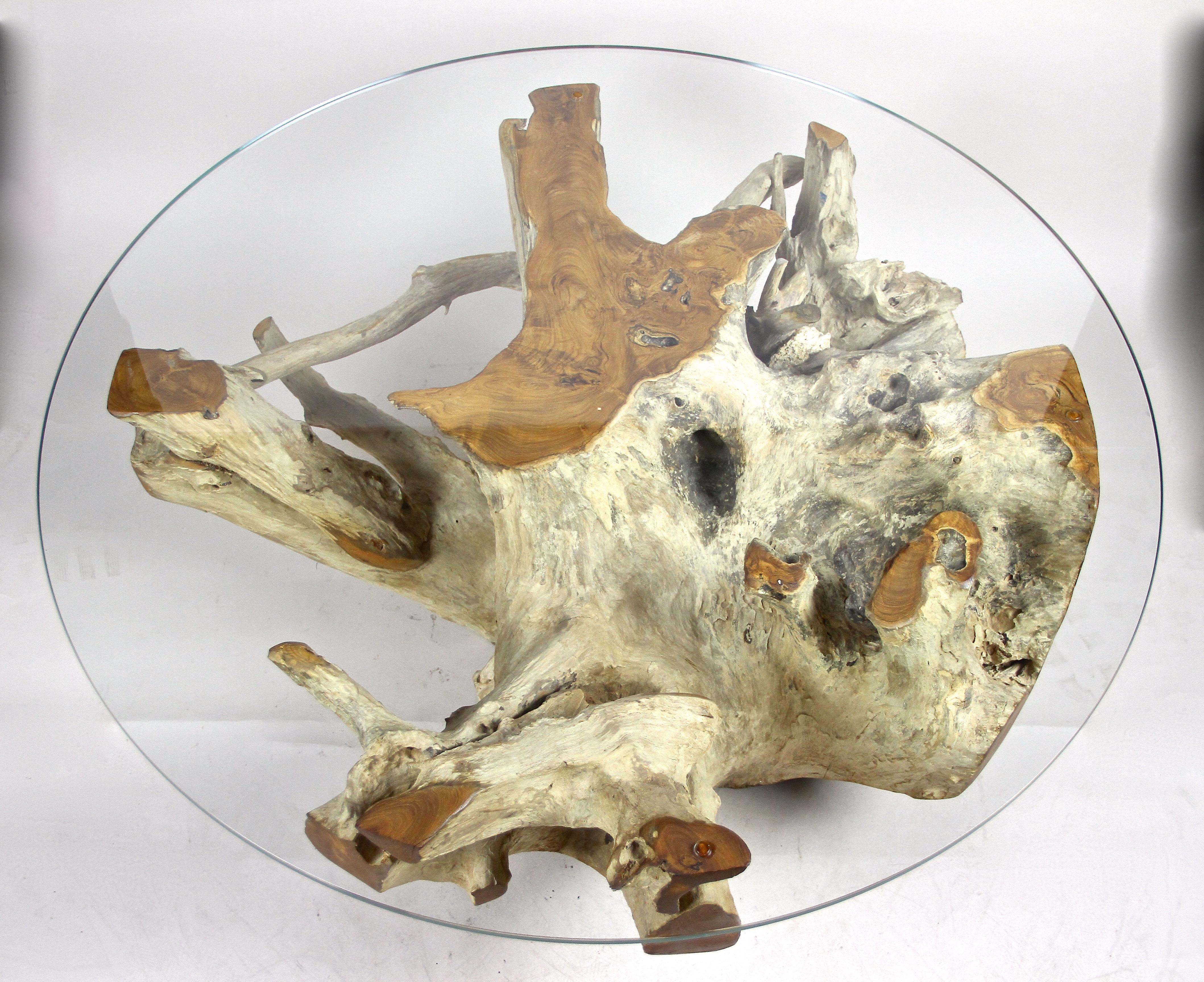 Round Organic Teak Root Coffee Table with Safety Glass Plate, 2021 For ...