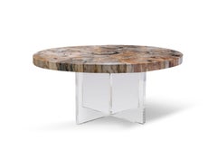 Round Petrified Wood Coffee Table, Petra Coffee Table
