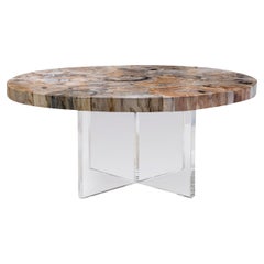 Round Petrified Wood Coffee Table, Petra Coffee Table