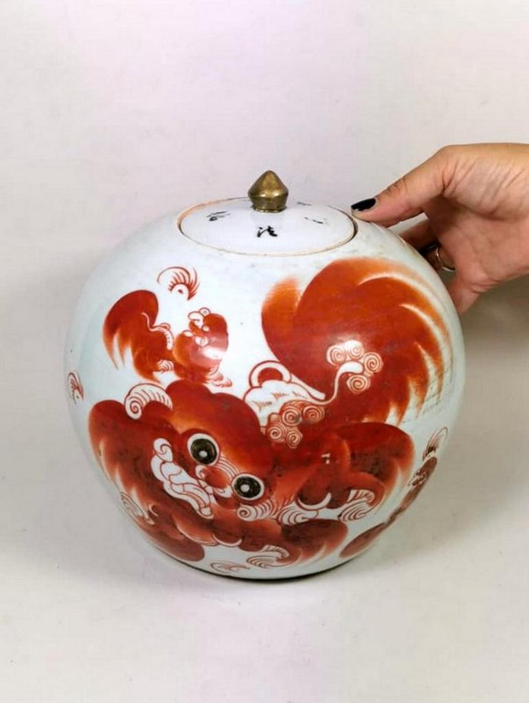 Qing Dynasty Chinese Round Porcelain Ginger Jar with Lid Painted with Foo Dog 7