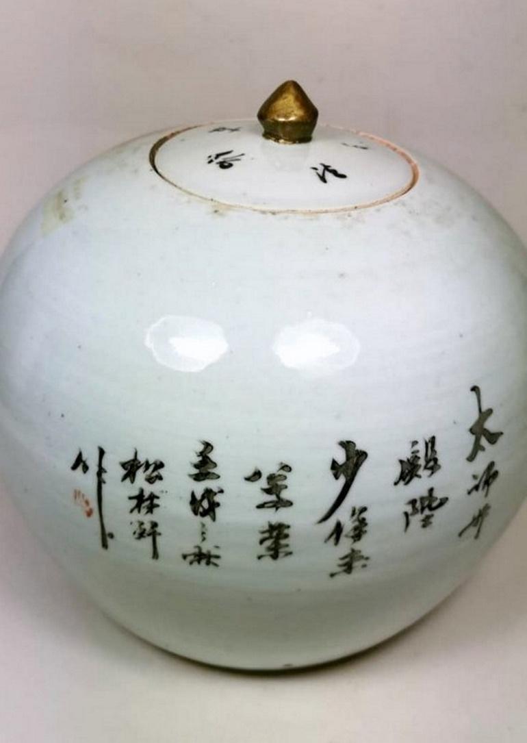 Qing Dynasty Chinese Round Porcelain Ginger Jar with Lid Painted with Foo Dog 1