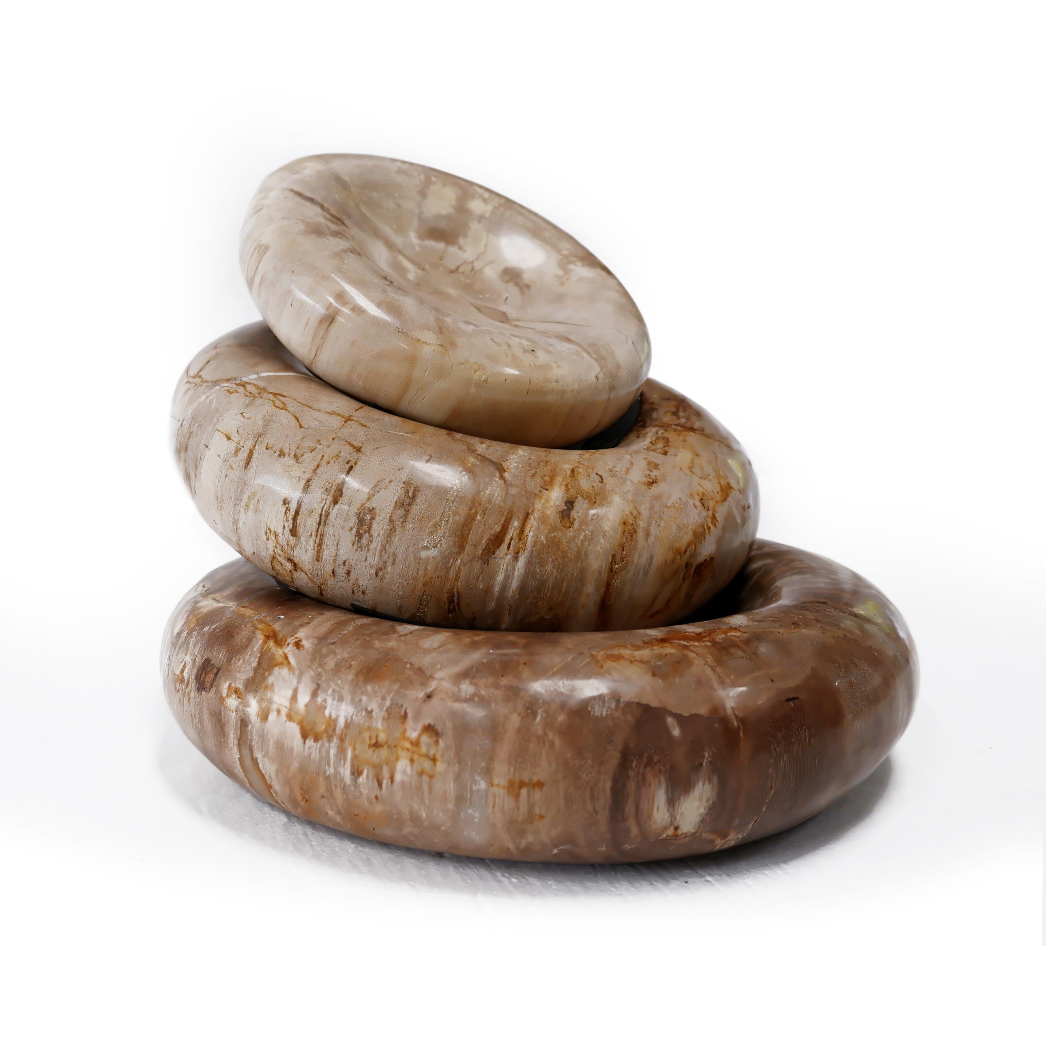 Round & Round • Hand Carved Petrified Wood Bowls by Odditi In New Condition For Sale In CAROOL, NSW, AU