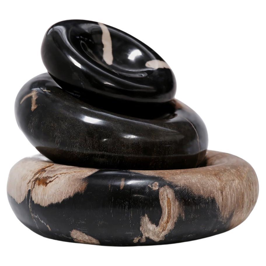 Round & Round • Hand Carved Petrified Wood Bowls by Odditi For Sale