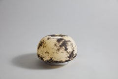 Runde Sgraffito 02 wandleuchte von Jennifer Midoz