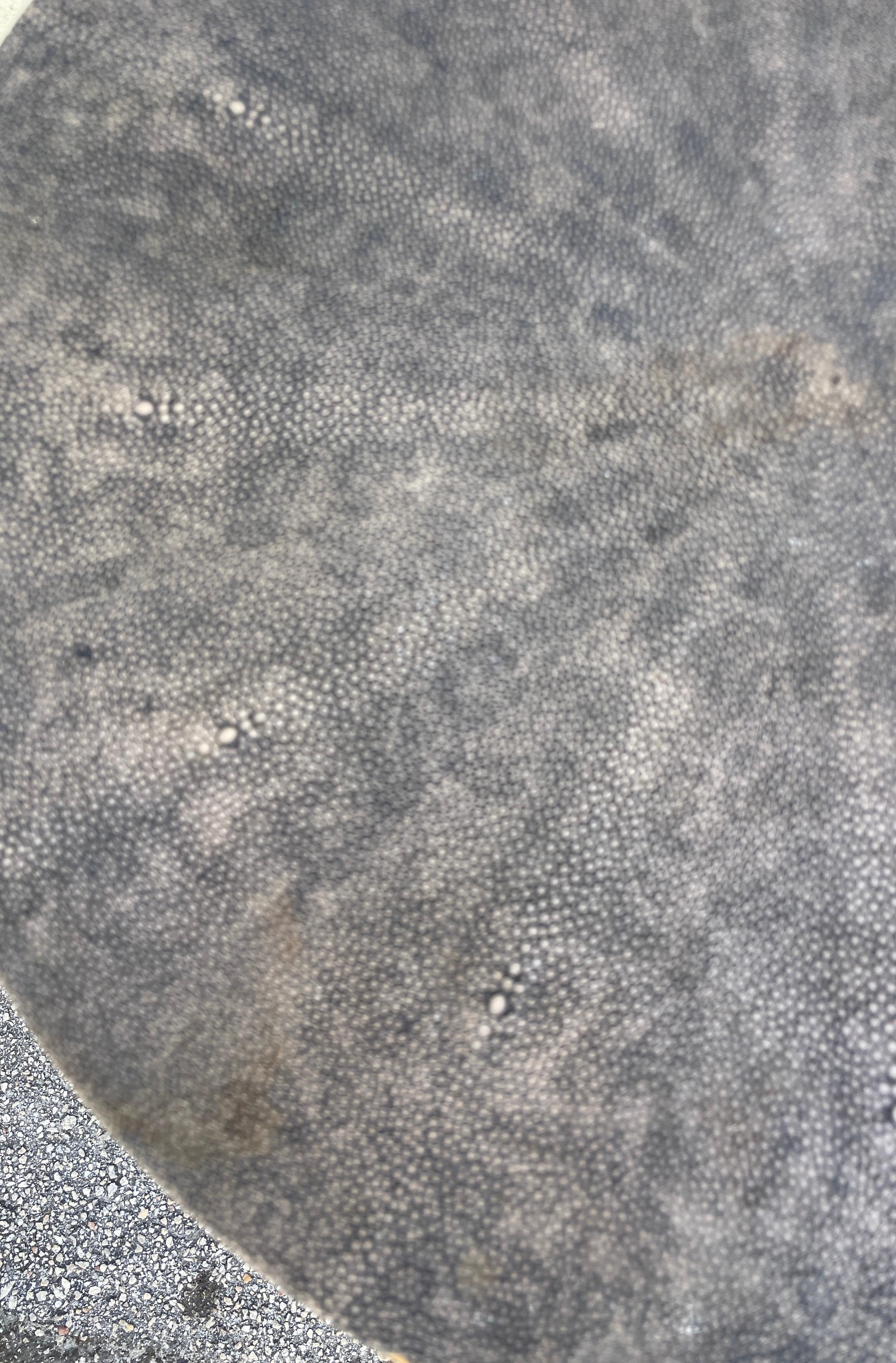 Round Shagreen Side / Drinks Table 3