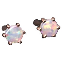 Round Six Prong Australian Solid Opal Stud Earrings 14K Rose Gold