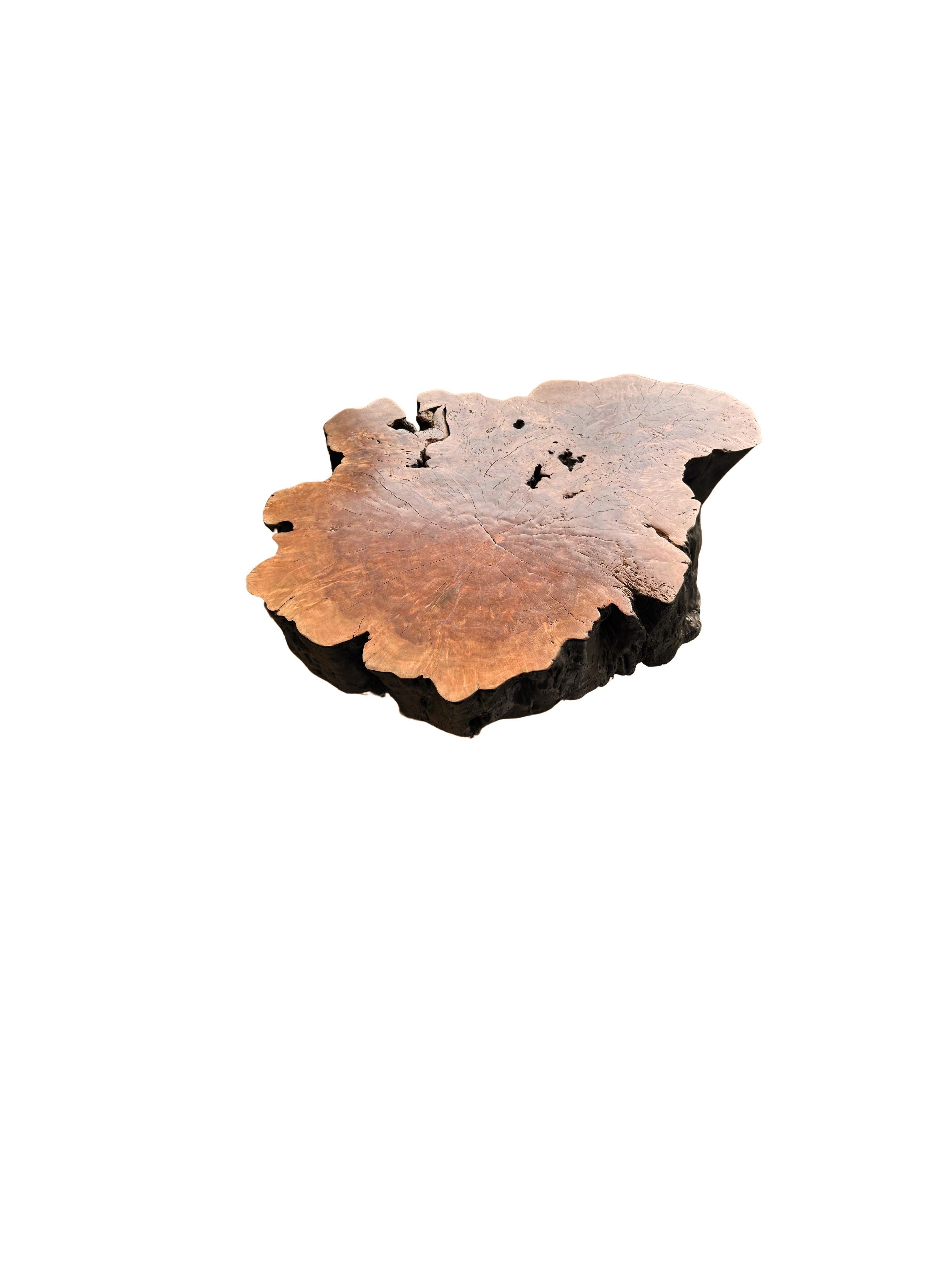 Round Solid Lychee Wood Sofa Table, Modern Organic, Stunning Wood Textures In New Condition For Sale In Jimbaran, Bali