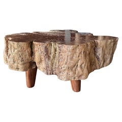 Round Solid Lychee Wood Sofa Table, Modern Organic, Stunning Wood Textures
