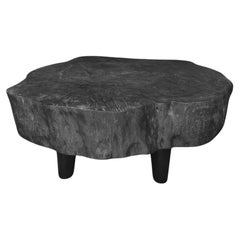 Tavolo da divano rotondo in legno massiccio di mango, moderno organico, splendida struttura del legno, bruciato