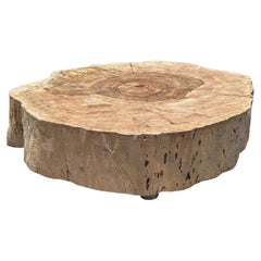 Round Solid Mango Wood Side Table, Modern Organic, Stunning Wood Textures