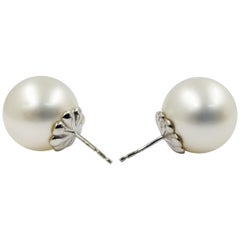 Round South Sea Cultured Pearl Stud Earrings