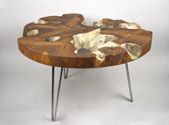 Round Teak Root Coffee/ Sofa Table on Stainless Steel Feet, Bleeched & Oiled