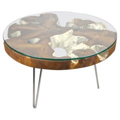 Round Teak Root Coffee/ Sofa Table on Stainless Steel Feet, Bleeched & Oiled