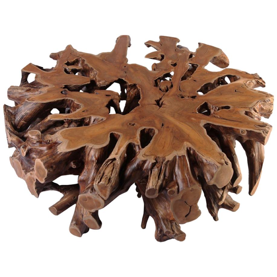 Round Teak Root Coffee Table For Sale