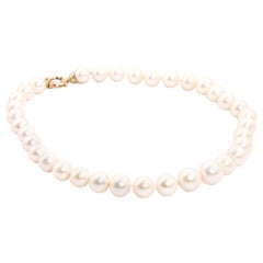 Pearl More Necklaces