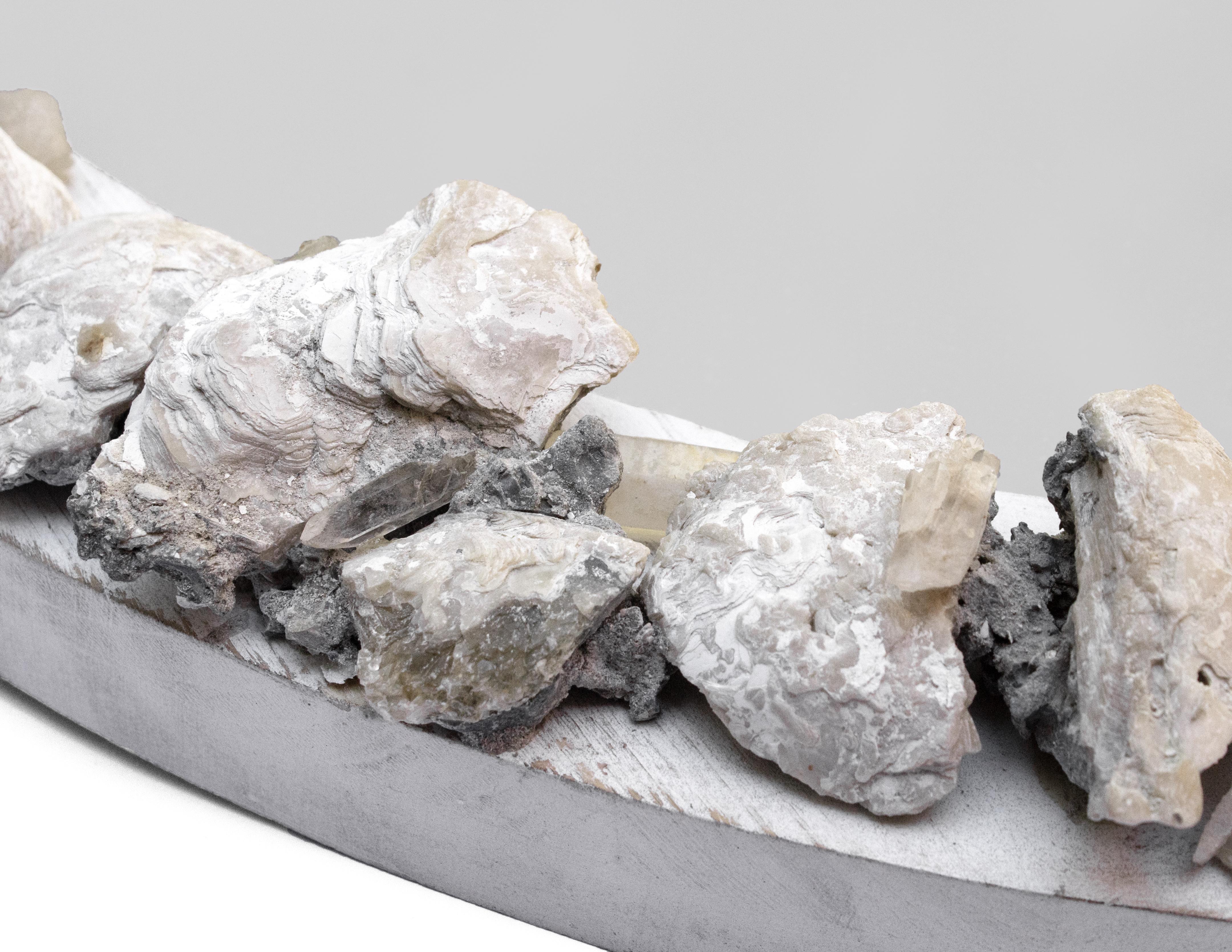 Runder Holzspiegel mit fossilen Muschelschalen und Kristallspitzen im Zustand „Gut“ im Angebot in Dublin, Dalkey
