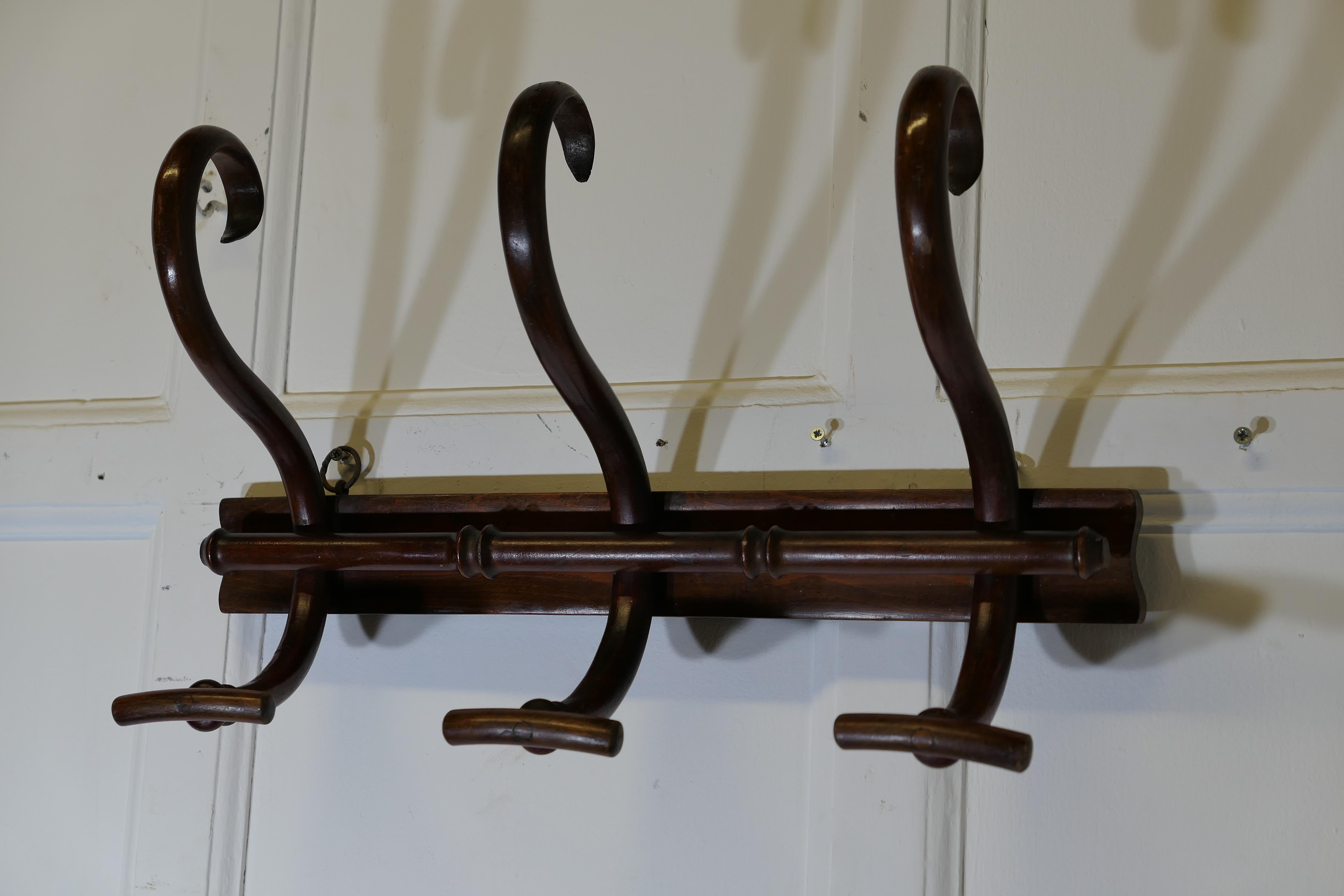 Row of 3 Hut- und Mantelhaken aus Bugholz im Zustand „Gut“ im Angebot in Godshill, Isle of Wight