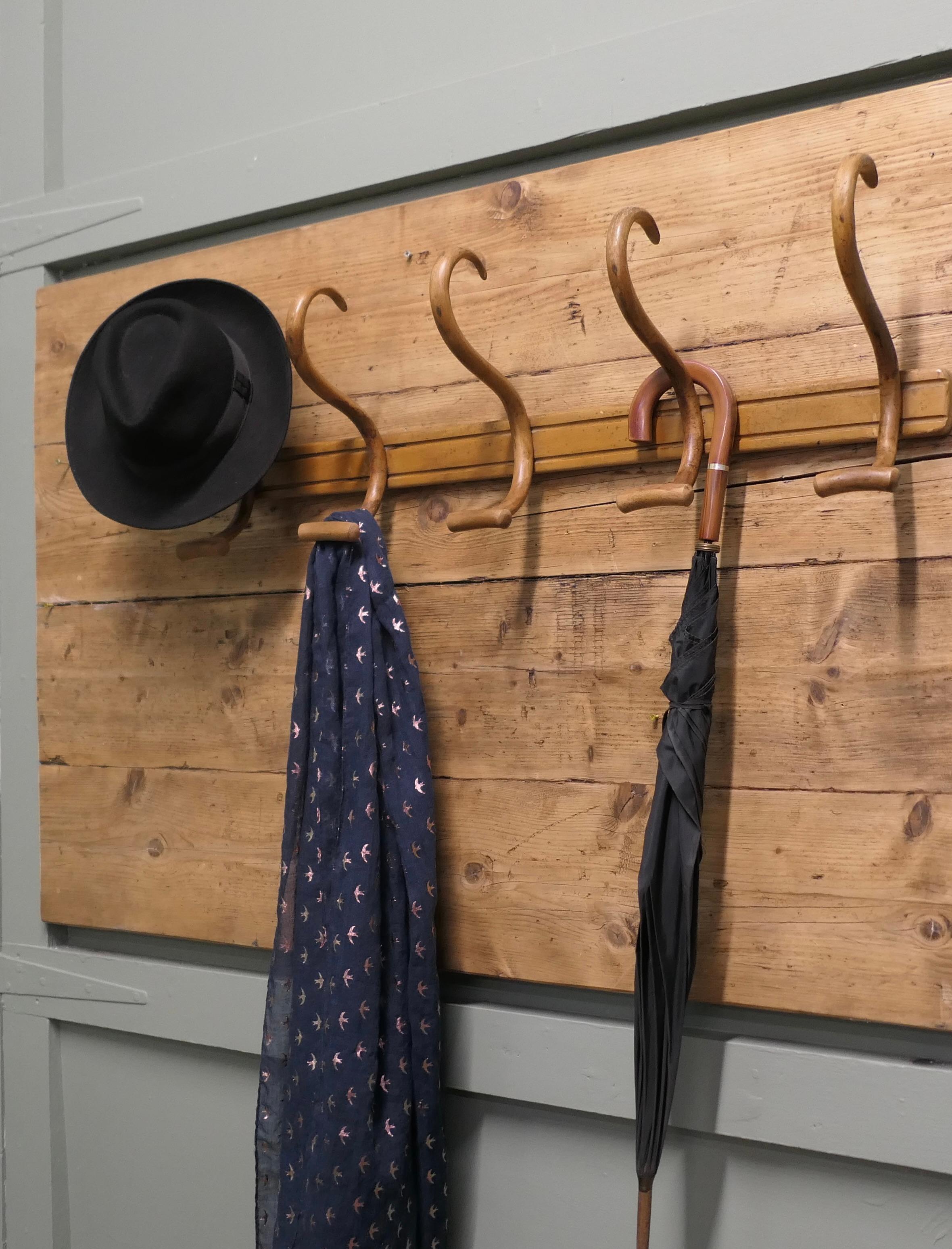 Row de 3 crochets à chapeau et à manteau en bentwood Bon état - En vente à Godshill, Isle of Wight