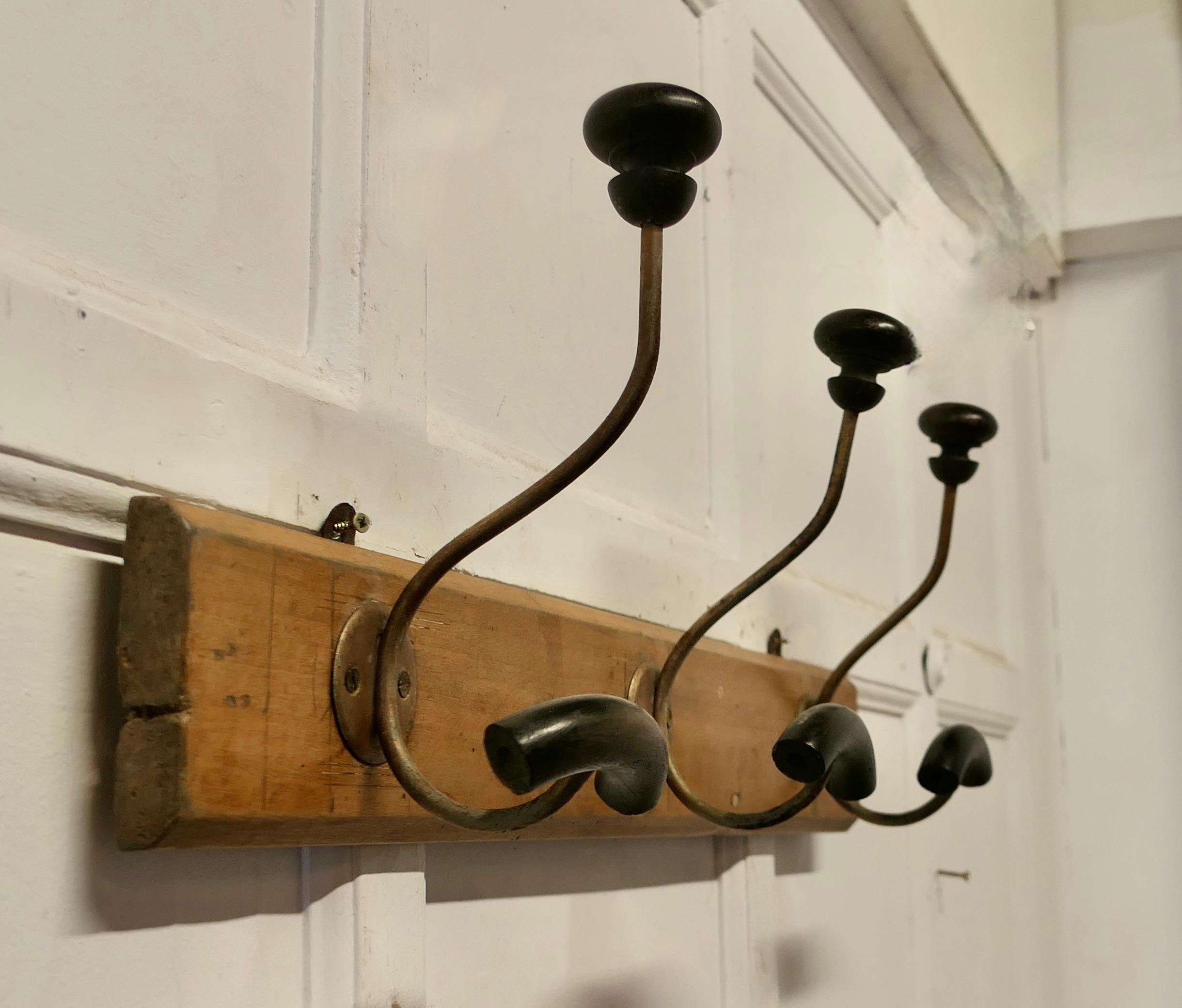 Early 20th Century Row of 3 French Bentwood and Turned Wood Coat Hooks   For Sale