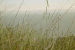 "Drift 12" Fotografie 20" x 30" Auflage 2/10 von Rowan Daly