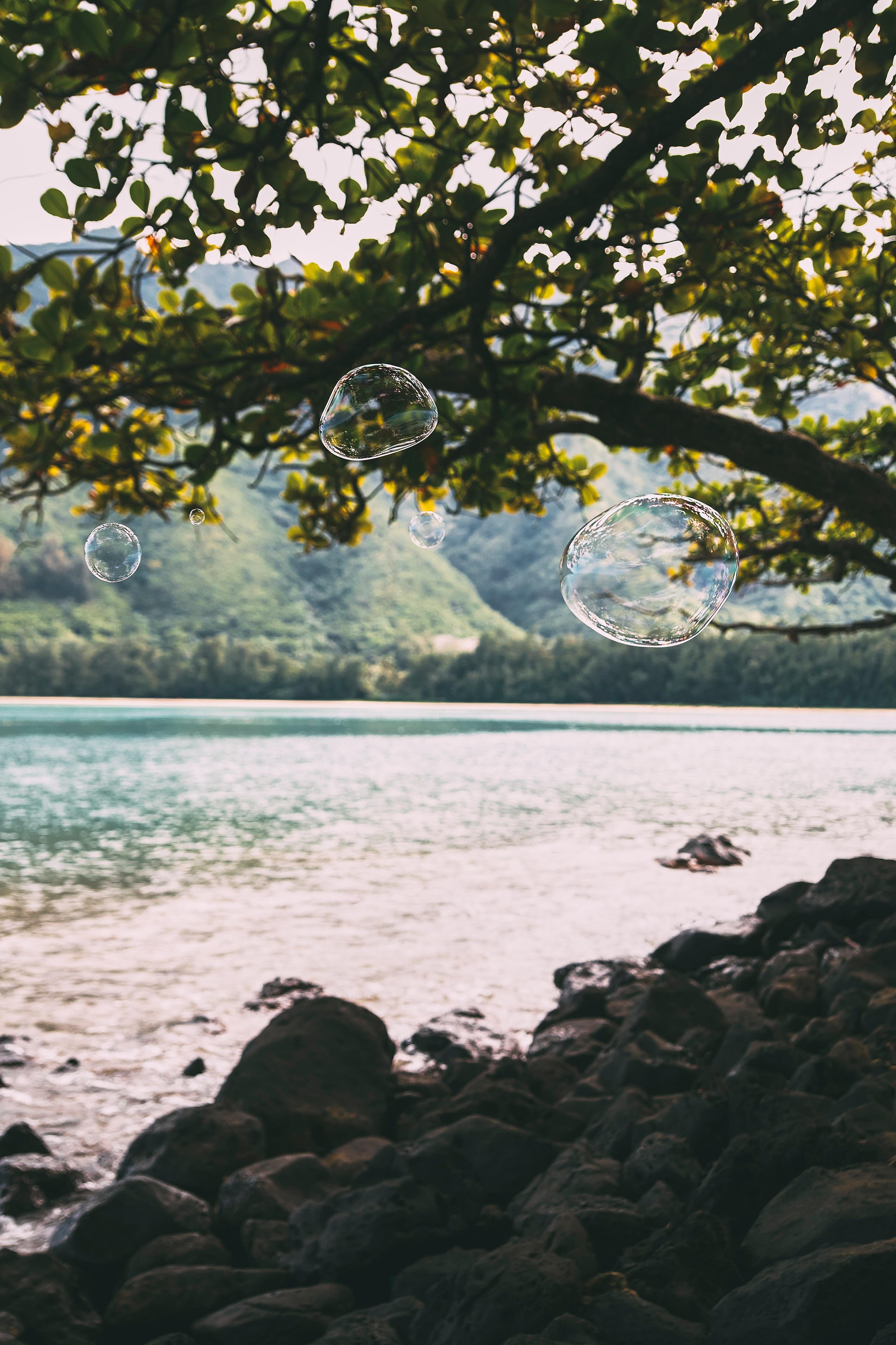 "Drift 39" Photographie de paysage 40" x 30" Edition de 5 par Rowan Daly