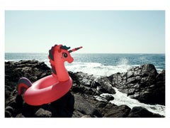 Untitled (Nr. 0457) Photography 18" x 24" Edition 3/20 by Ben Cope & Rowan Daly