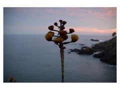 Untitled (Nr. 0781) Landscape Photography 36" x 44" in Ed. 1/12 by Rowan Daly